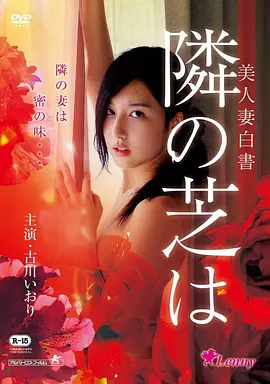 夜航西飞